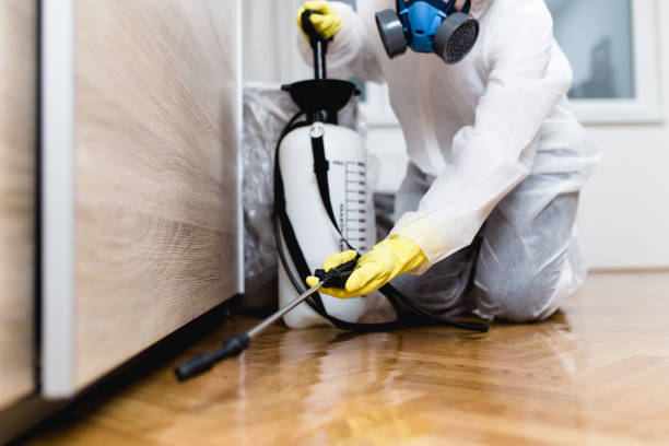 Best Pest Prevention Services  in Nicollet, MN