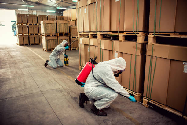 Best Exterminator Services  in Nicollet, MN