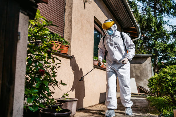 Best Local Pest Control Services  in Nicollet, MN