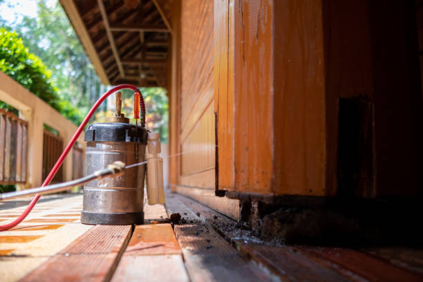 Best Pest Removal Services  in Nicollet, MN
