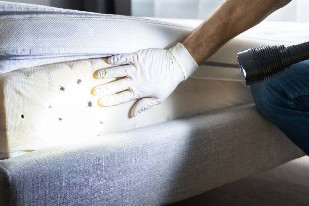 Best Commercial Pest Control Services  in Nicollet, MN