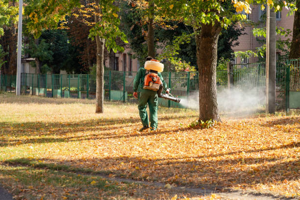 Reliable Nicollet, MN Pest Control Solutions