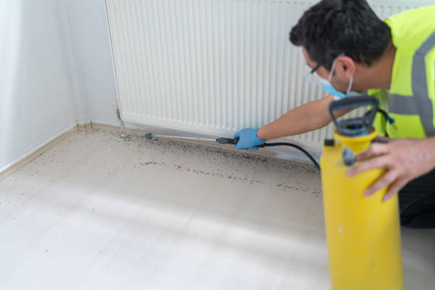 Best Commercial Pest Control Services  in Nicollet, MN