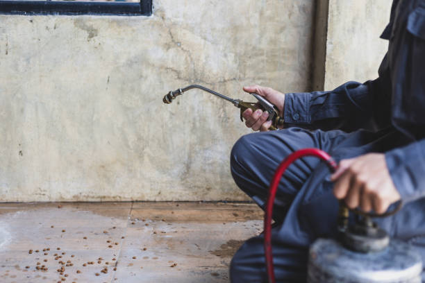 Best Affordable Pest Control Services  in Nicollet, MN